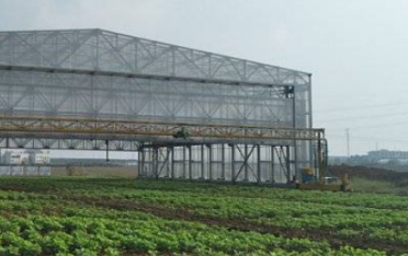 小型電動葫蘆在花生種植基地的應用